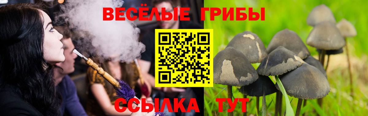 Фрязино  Конопля  Вейп ТГК  ГАШ  МЕФ   Вход с VPN  Кетамин  Кокаин 